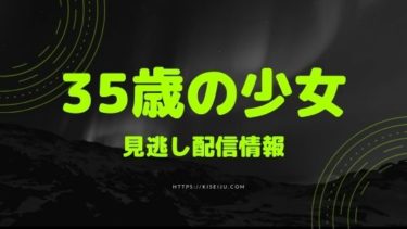 ドラマ 35歳の少女 を見逃し動画配信で無料で視聴する方法 1話 最終話のネタバレ 感想 Kisei Movie