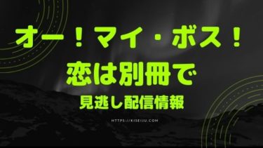 マイ ボス 恋は別冊で TVドラマ DVD/ブルーレイ 本・音楽・ゲーム ネット販売済み